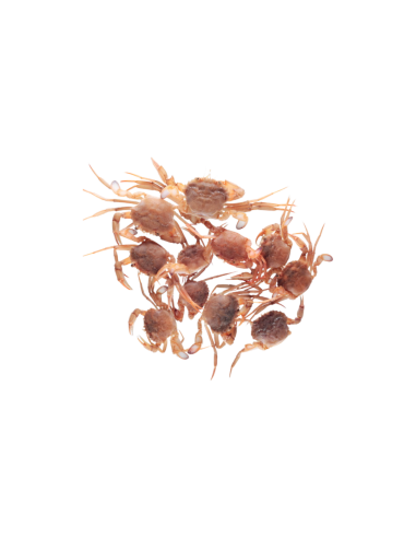 CANGREJOS