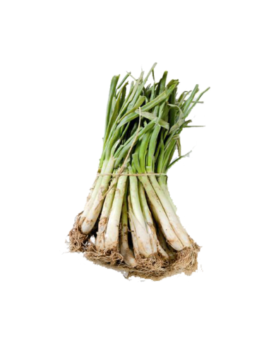 CALÇOTS COLLITA PROPIA  (MANAT 25 Uds)