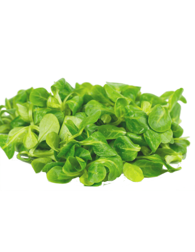 CANÓNIGOS 100gr
