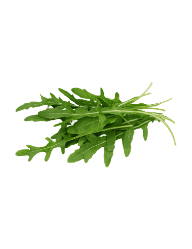 RÚCULA SAFATA 80gr.