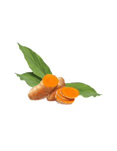 CÚRCUMA