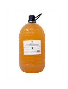 VINAGRE DE POMA ECOLÒGIC/DEMETER 5L