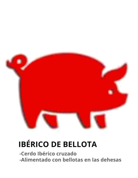 JAMÓN DE BELLOTA 50% IBÉRICO (7 - 7,5kg)