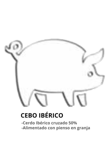 JAMÓN CEBO 50% IBÉRICO (7 - 7,5kg)