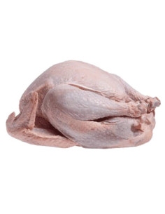 PAVO EVISCERADO (APROX 5KG)