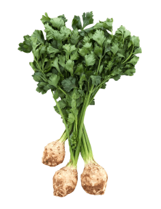 APIONABO (CELERI) COSECHA PROPIA KG