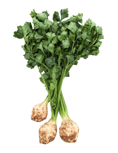 API-NAP (CELERI) COLLITA PROPIA