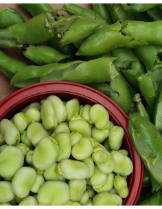 HABAS LIMPIAS COSECHA PROPIA 400gr.