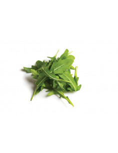 RUCULA SELVATICA SAFATA 400 GR.
