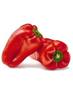 PEBROT VERMELL COLLITA PROPIA