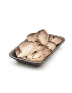 GIRGOLA (Seta Ostra) CULTIVO BANDEJA 500Gr