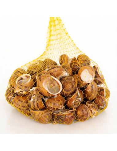 CARACOL BOVER (MALLA 1kg)