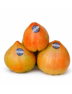 TOMATE HUEVO DE TORO