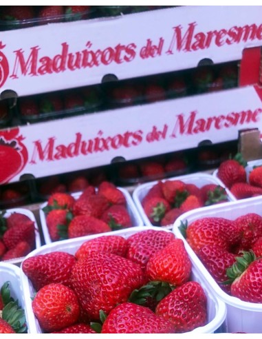 MADUIXOT MARESME - CAIXA 4KG E/K