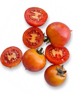 TOMACÓ COLLITA PROPIA