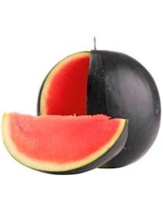 SINDRIA VILLACONEJOS NEGRA APROX 6,5KG