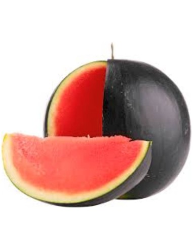 SINDRIA VILLACONEJOS NEGRA APROX 6,5KG