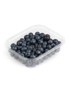 Arándanos (125g)