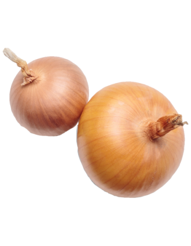 Cebolla seca 4ud (800g)