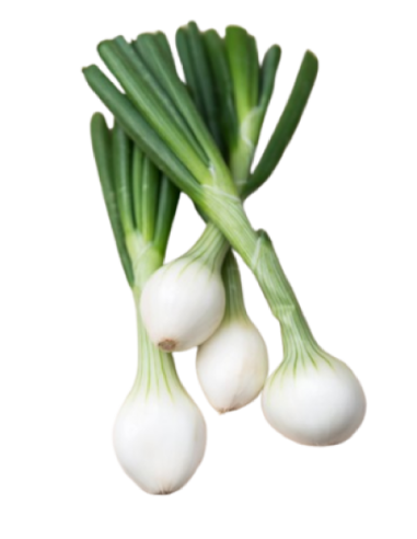Cebolla tierna (1 Manojo)