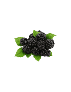 Moras negras (125g)