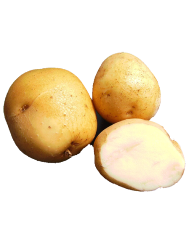 Patata kennebec (2kg)