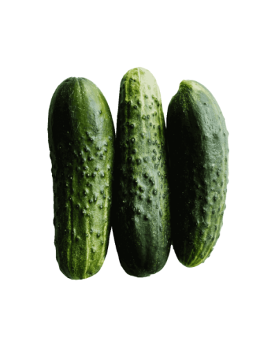 Pepino 2ud (500g)