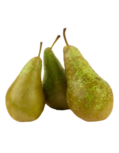 Pera conferència 4-5ud (800g)