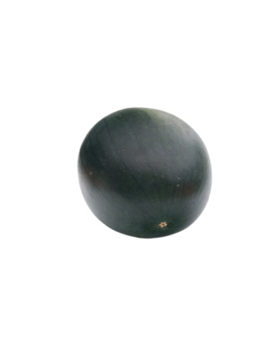 Síndria negra 1ud (5-6kg)