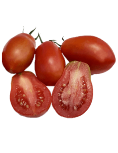 Tomate pera 4-5ud (500g)