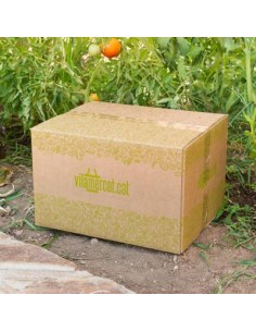 Caja de fruta grande (14 kg) 2