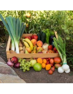 Caja mixta grande (14 kg)