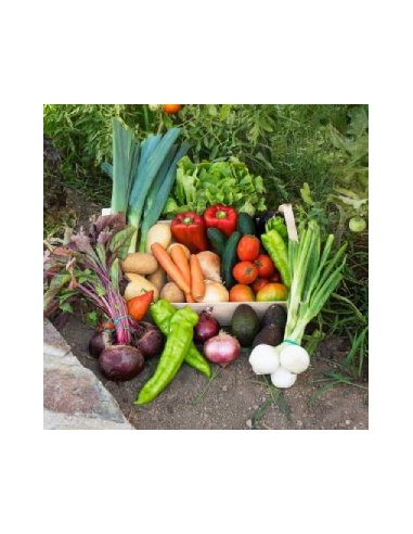Caja de verdura mediana (9 kg)