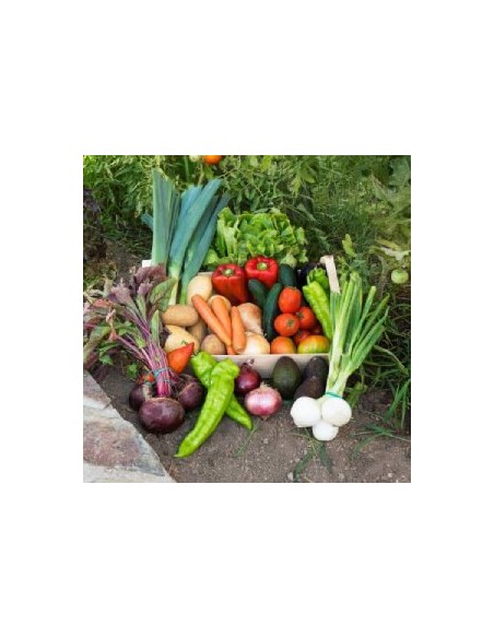 Caixa de verdura mitjana (9 kg)
