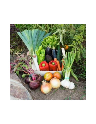 Caja de verdura pequeña (4 kg)