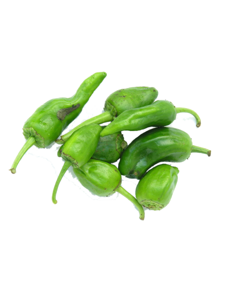 Pimiento padrón dulce (250g)