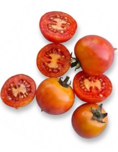 Tomacó sucar pa (250g)