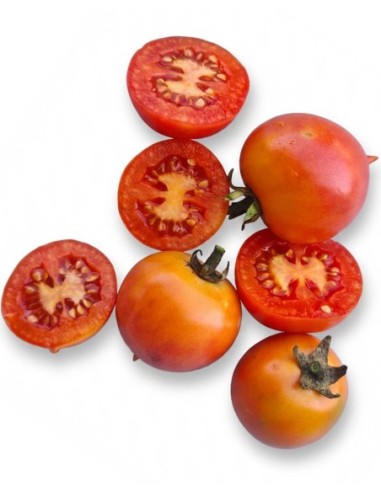 Tomacó sucar pa (250g)