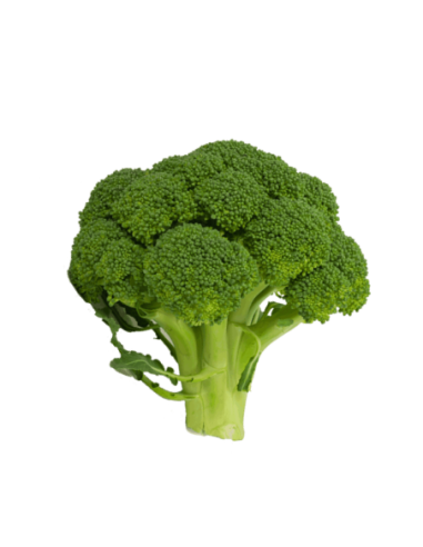 Brocoli unitat (aprox 500g)