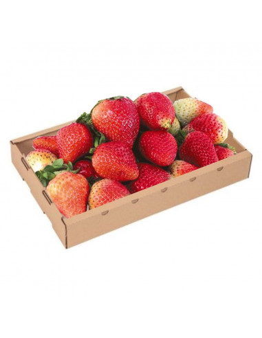 MADUIXOT DE HUELVA CAIXA 2Kg