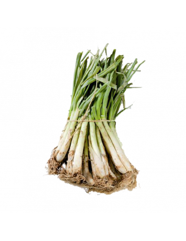 CALÇOTS PARC AGRARI MANAT