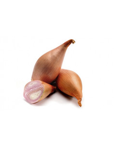 SAFATA CEBA XALOTA / ESCALUNYA 250g