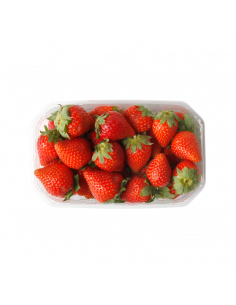 MADUIXA MARESME SAFATA 500g