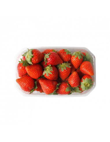 FRESON MARESME BANDEJA 500g