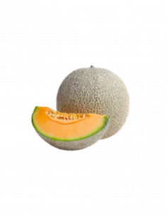 MELÓN CANTALUPO