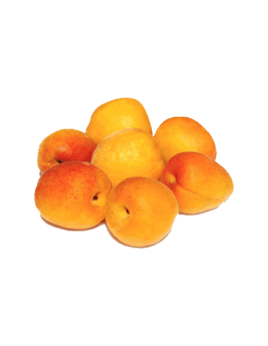 Albercoc Ecològic