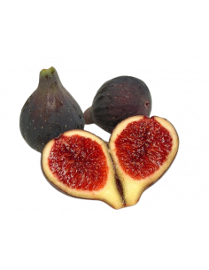 Figues "Coll de Dama Negra" ecológiques