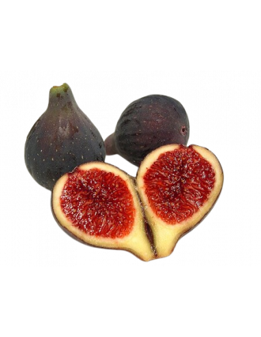 Figues "Coll de Dama Negra" ecológiques