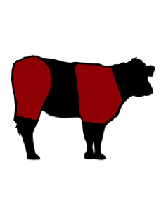 Bistec de Ternera Ecológica a Domicilio en Cataluña - Carne Fresca y de Calidad 2