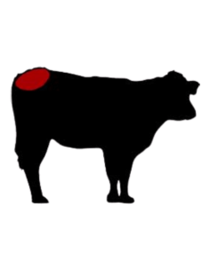 ☆ Bistec de Culata de Ternera Ecológica | Compra Online a Domicilio 2